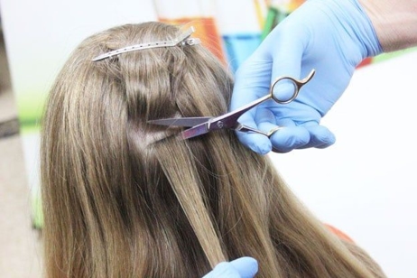 hair being cut for testing